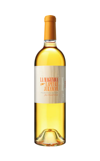 Clos Lapeyre Magendia 2019 (Half Bottle)