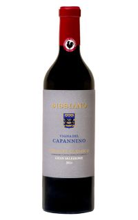 Tenuta di Bibbiano Chianti Classico Gran Selezione Vigna del Capannino 2016