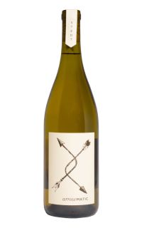 Stedt Wines ArrowMATIC Dry Gewurztraminer 2016